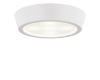 Потолочный светодиодный светильник Lightstar Urbano 214904