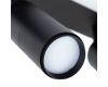 Спот Arte Lamp Tommy A2607PL-22BK