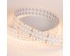 Светодиодная лента Arlight S2-A280-34mm 24V Warm2700 (25 W/m, IP20, 2835, 2.5m) 023403(2) (отрез 2,5 м)