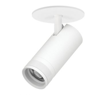 Встраиваемый светильник 20-55G с адаптером Lightstar Canno Pro C4206RS
