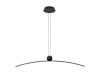 Подвесная люстра Arte Lamp Arno A3362SP-25BK