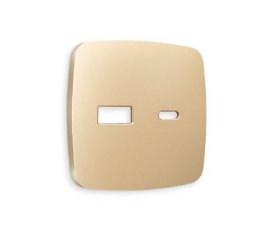 Лицевая панель для розетки 2USB тип A+C Ambrella Volt Omega OP6110