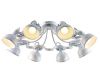 Потолочная люстра Arte Lamp Martin A5216PL-8WG