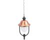 Уличный подвесной светильник Arte Lamp Barcelona A1485SO-1BK