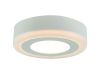 Потолочный светодиодный светильник Arte Lamp Antares A7809PL-2WH