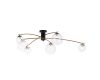 Люстра на штанге Citilux Fisher CL218163