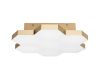 Потолочный светодиодный светильник Lightstar Favo 750071