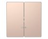 Клавиша двойная Schneider Electric Merten D-Life MTN3420-6051