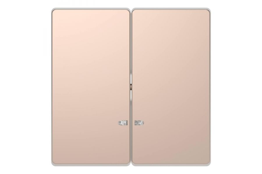Клавиша двойная Schneider Electric Merten D-Life MTN3420-6051