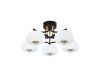 Потолочная люстра Escada Halma 10301/5LED