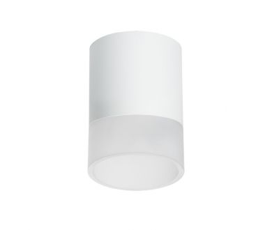 Накладной светильник Lightstar Rullo (213486+202481) R348681