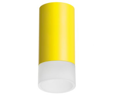 Накладной светильник Lightstar Rullo R43331 (214433+202431)