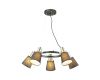Подвесная люстра Lumion Marcus 3638/5