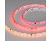 Светодиодная герметичная лента Arlight SPI-SE-B60-10mm 24V RGB-PX6-BPT (12 W/m, IP65, 5060, 5m) 039601
