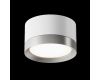 Потолочный светильник Maytoni Technical Hoop C086CL-GX53-SRD-WS