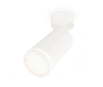 Спот Ambrella Light Techno Spot XM6322013 (A2202, C6322, N6220)