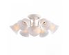 Накладная люстра ARTE Lamp A6306PL-8WG