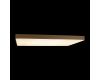 Потолочный светильник Loft IT Flims 10228/E