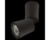 Спот Lightstar Rotonda 214457