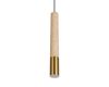 Подвесной светильник Loft IT Everest 10583C Bronze