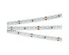 Светодиодная лента Arlight RS-S120-8mm 24V Warm2700 9.6 W/m, IP20, 3014, 5m 039430