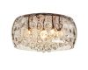 Потолочный светильник Arte Lamp 23 A8146PL-8CC