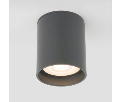 Уличный потолочный светильник Elektrostandard Light LED 4690389177002