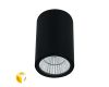 Уличный потолочный светильник Arte Lamp Torcular A1307PF-1BK