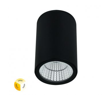 Уличный потолочный светильник Arte Lamp Torcular A1307PF-1BK