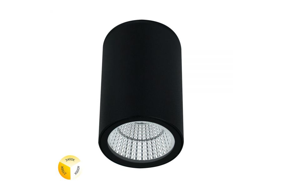 Уличный потолочный светильник Arte Lamp Torcular A1307PF-1BK