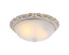 Потолочный светильник Arte Lamp Torta A7152PL-2WG