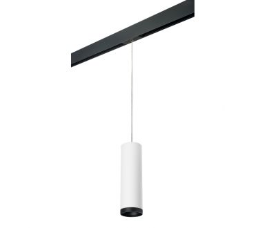 Трековый светильник Lightstar Rullo PRORP64963487 (216496+595887+203487)