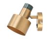 Спот Moderli Goldy V11315-1W