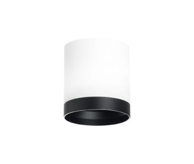 Накладной светильник Lightstar Rullo (213486+203487) R34863487