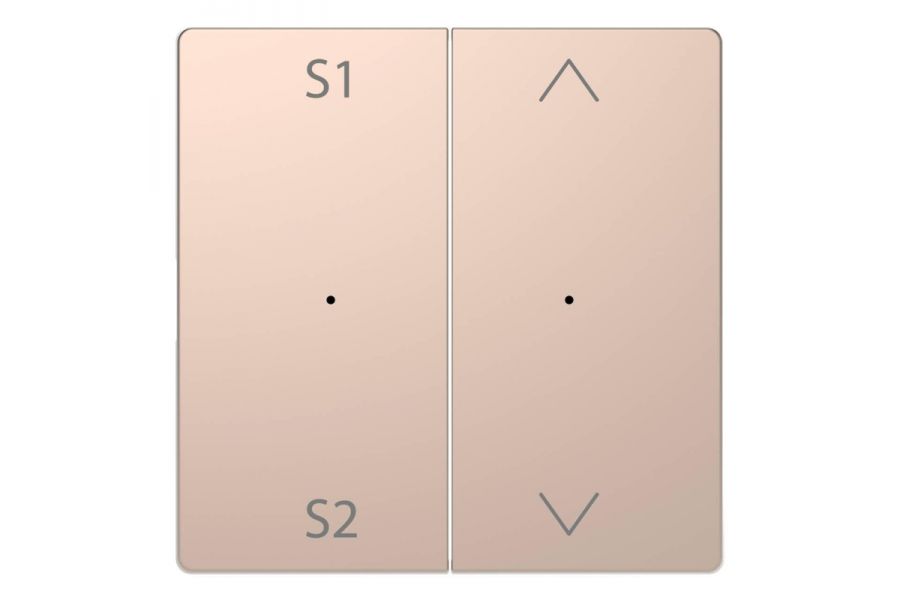 Клавиша двойная Schneider Electric Merten D-Life MTN5227-6051