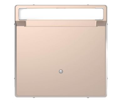 Выключатель карточный Schneider Electric Merten D-Life MTN3854-6051