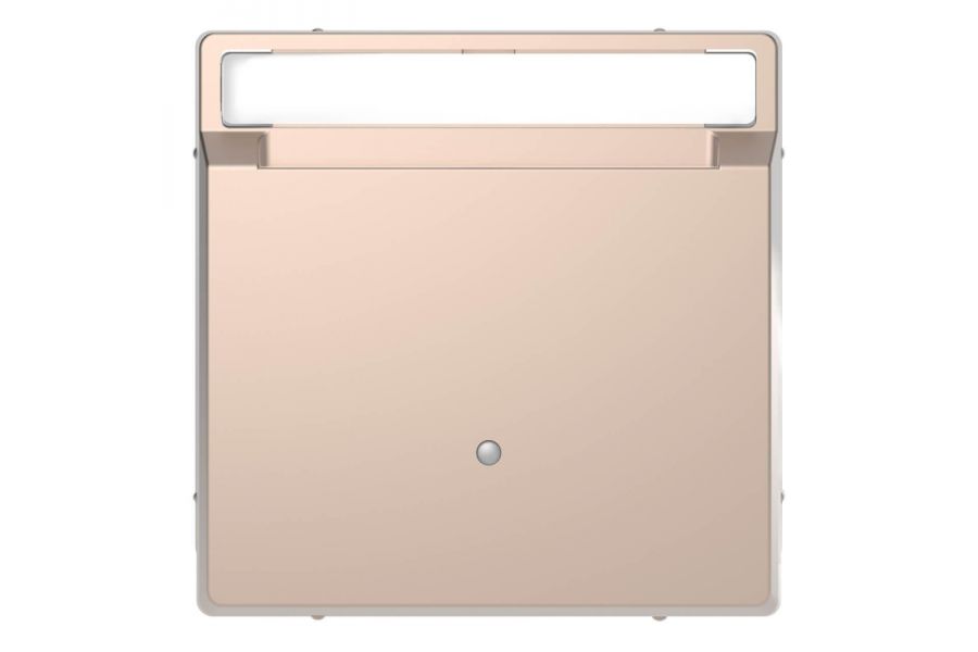 Выключатель карточный Schneider Electric Merten D-Life MTN3854-6051