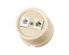 Розетка телефонная RJ11 + компьютерная RJ45 сл. кость Болонь TDM Electric SQ1820-0352
