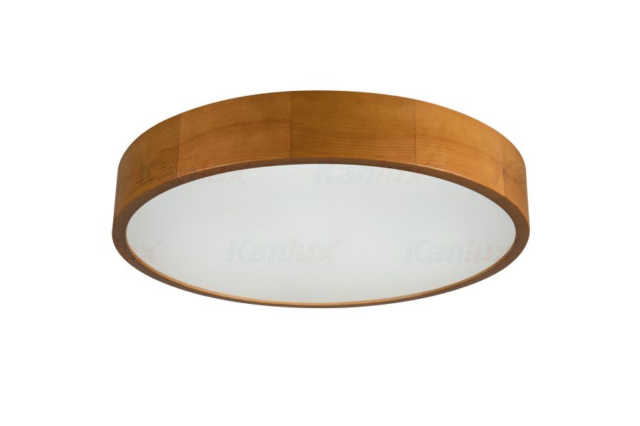 Потолочный светильник Kanlux Jasmin 36442