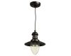 Подвесной светильник Arte Lamp Fisherman A5518SP-1RI