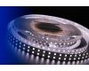 Светодиодная лента DesignLed DSG5120-24-NW-33 001133