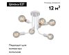 Потолочная люстра Vitaluce V4960-0/6PL