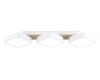 Потолочный светильник Ambrella Light Linetech Comfort FL4877