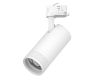 Трековый трехфазный светильник Quattro 20-55G с адаптером Lightstar Canno Pro C4306QT (304306 + 594006)
