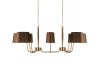 Подвесная люстра Loft IT Hilton 10527/8 Brass