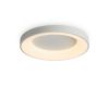 Потолочный светильник Freya Fit FR6157CL-L65W
