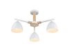 Люстра на штанге Lumion Colange 8095/3C