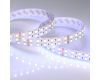 Светодиодная лента Arlight RT-B144-19mm 24V RGBW-Day (32 W/m, IP20, 5m) 018144(3)