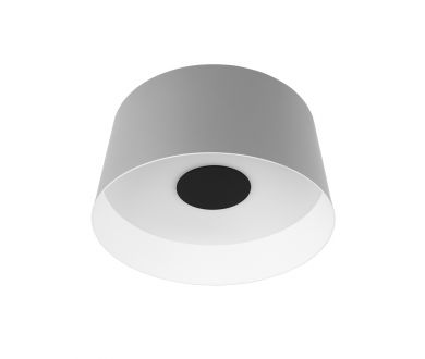 Потолочный светильник Loft IT Duo 10360M Grey