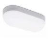 Уличный потолочный светильник Ambrella Light Street ST8651